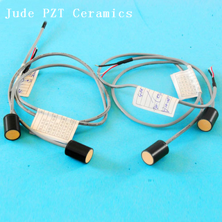 Capteur à gaz ultrasonique Mesure Ultrasonic Piezoceramic Company