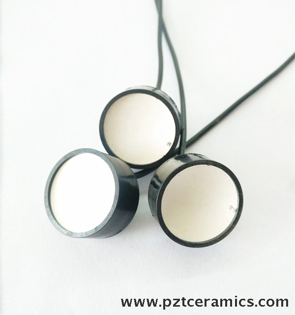 Transducteur concentr&eacute; sur les ultrasons-3